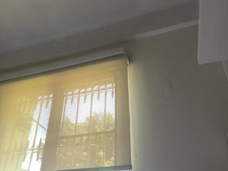 SallyeLeins Porn Show