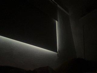 SallyeLeins Porn Show