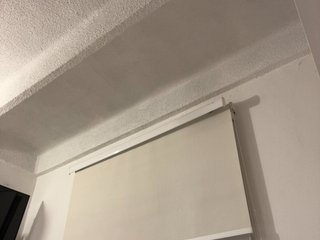 SallyeLeins Porn Show