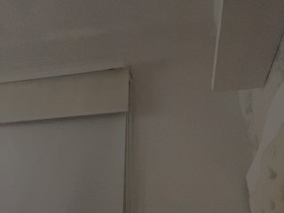 SallyeLeins Porn Show