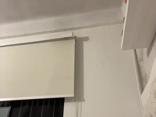 SallyeLeins Porn Show