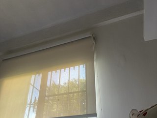 SallyeLeins Porn Show