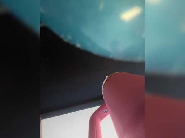 sallyeleins cam belle