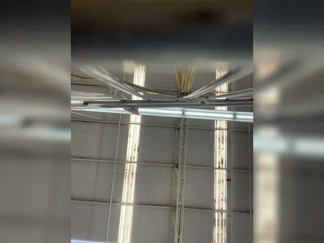 SallyeLeins from BongaCams is Freechat