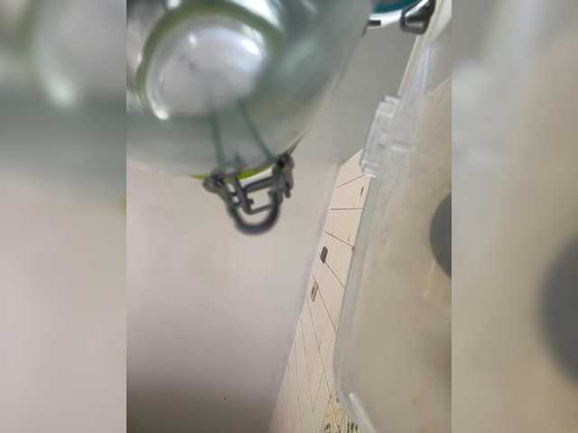 SallyeLeins from BongaCams is Freechat