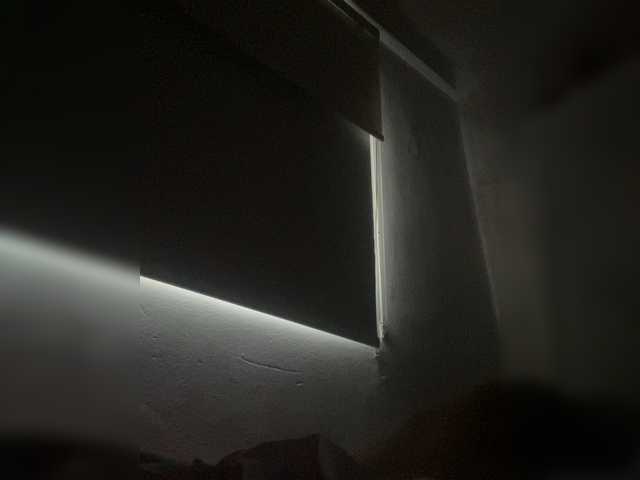 SallyeLeins's BongaCams show and profile