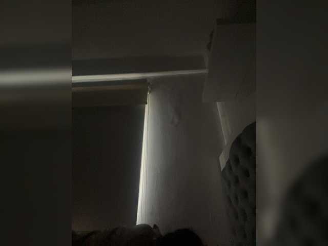 sallyeleins cam belle