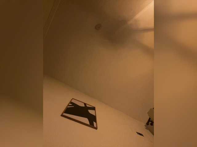 SallyeLeins's BongaCams show and profile