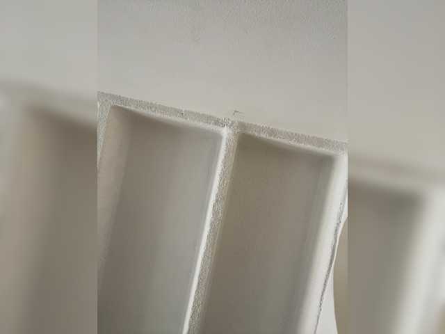 SallyeLeins's BongaCams show and profile