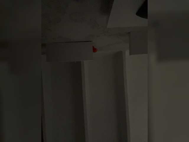 SallyeLeins's BongaCams show and profile