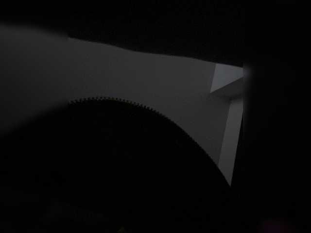 SallyeLeins live cam