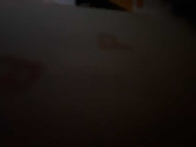 SallyeLeins's BongaCams show and profile