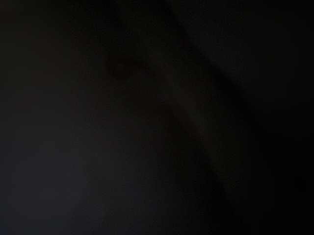 SallyeLeins's BongaCams show and profile