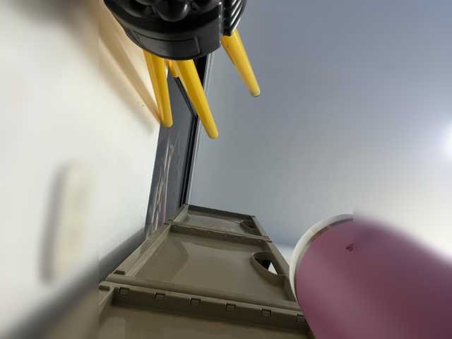 SallyeLeins from BongaCams is Freechat