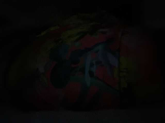 sallyeleins live sex