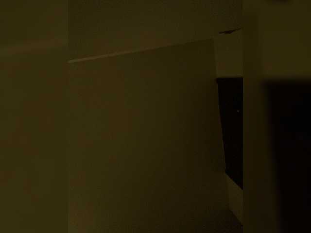 SallyeLeins's BongaCams show and profile