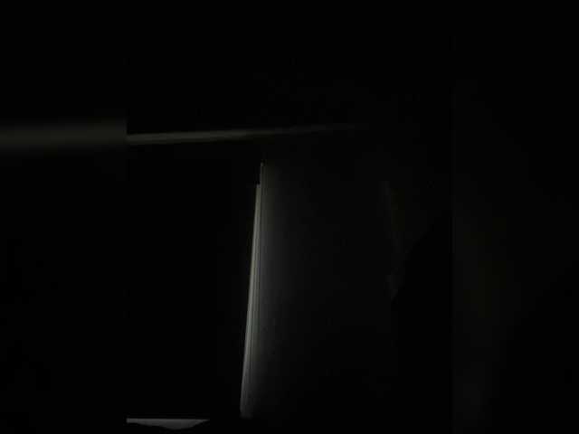 sallyeleins live sex show