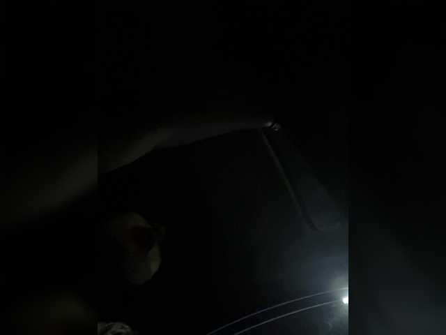 SallyeLeins's BongaCams show and profile