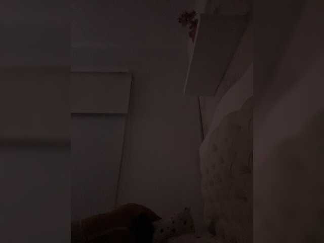 SallyeLeins's BongaCams show and profile