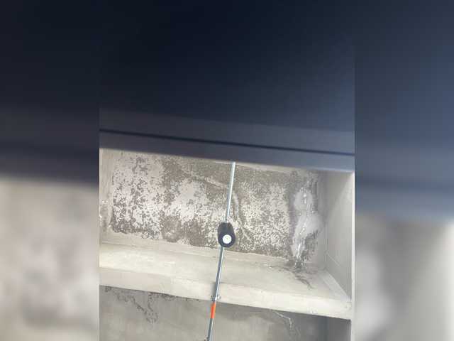 SallyeLeins's BongaCams show and profile