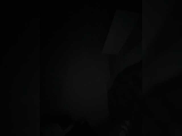  SallyeLeins chat room