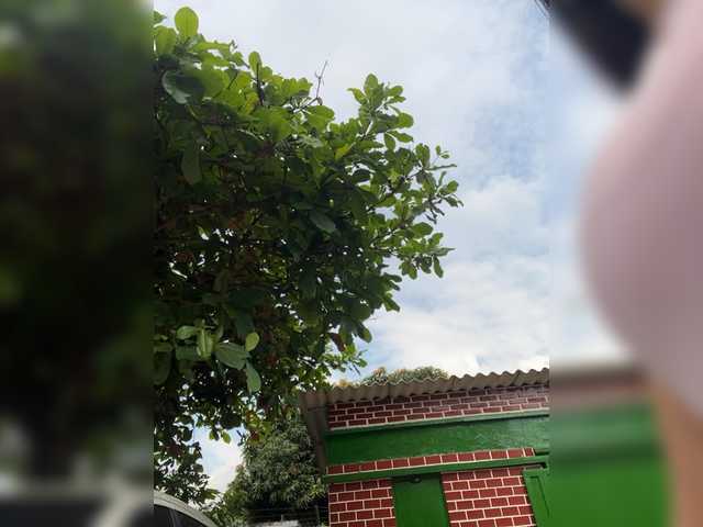 SallyeLeins from BongaCams