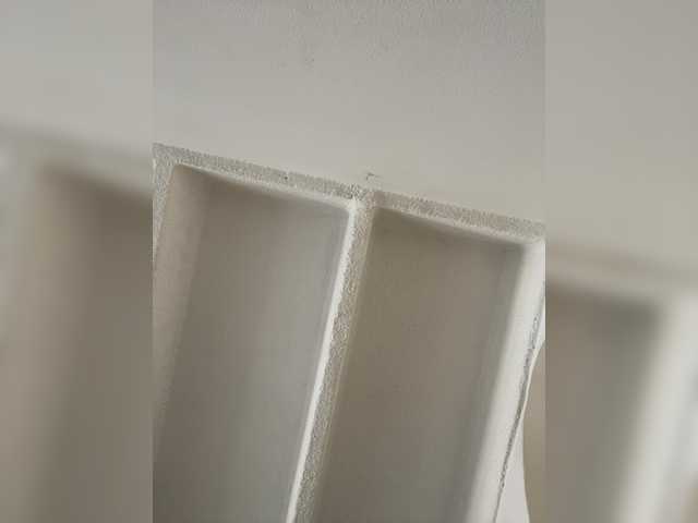 SallyeLeins's BongaCams profile