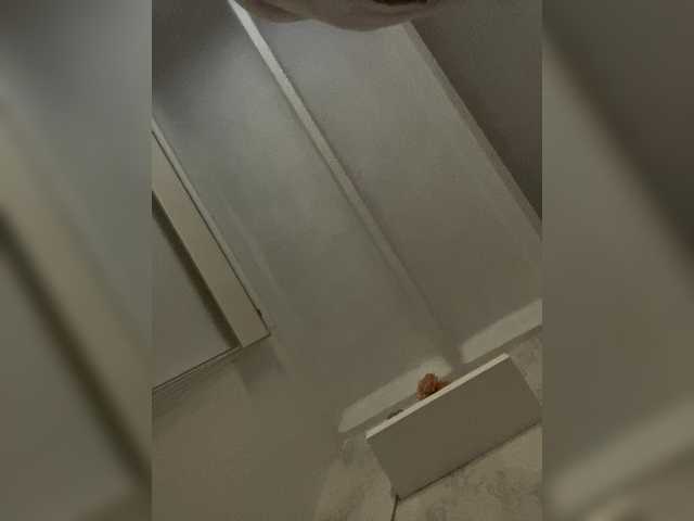 SallyeLeins's BongaCams show and profile