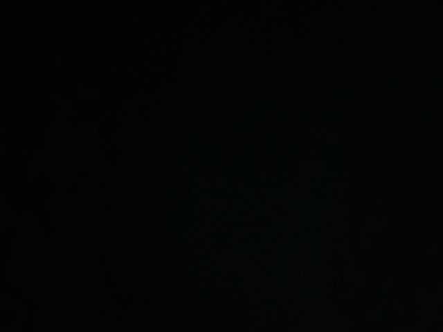 SallyeLeins from BongaCams is Freechat