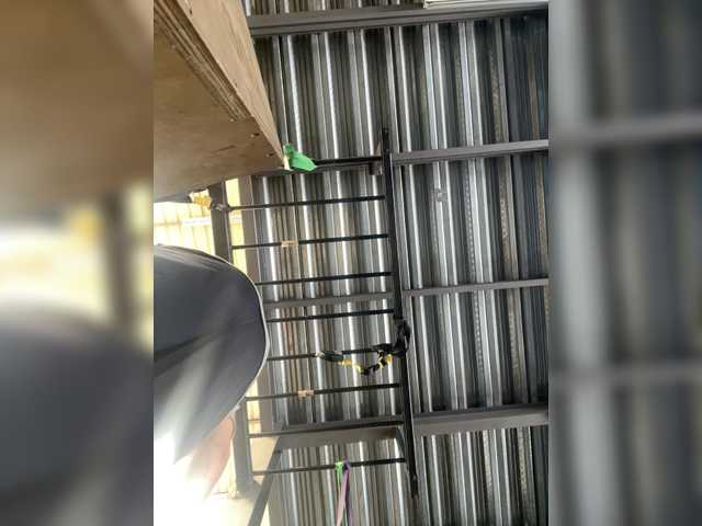 SallyeLeins's BongaCams profile