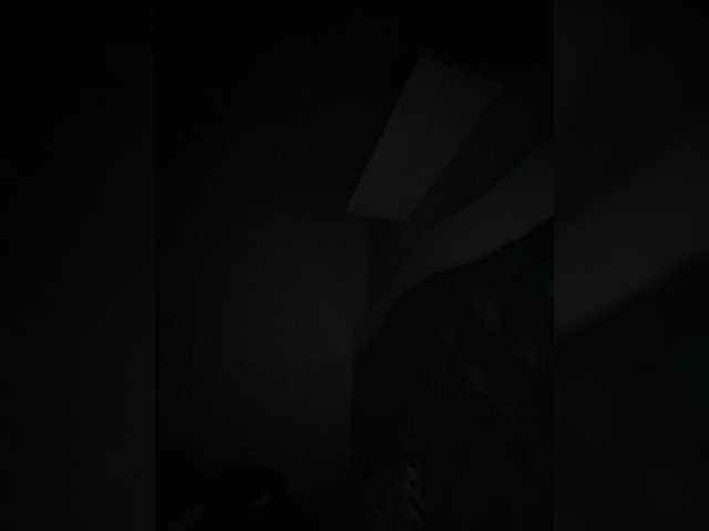  SallyeLeins chat room