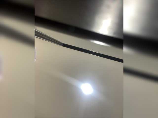 sallyeleins live sex