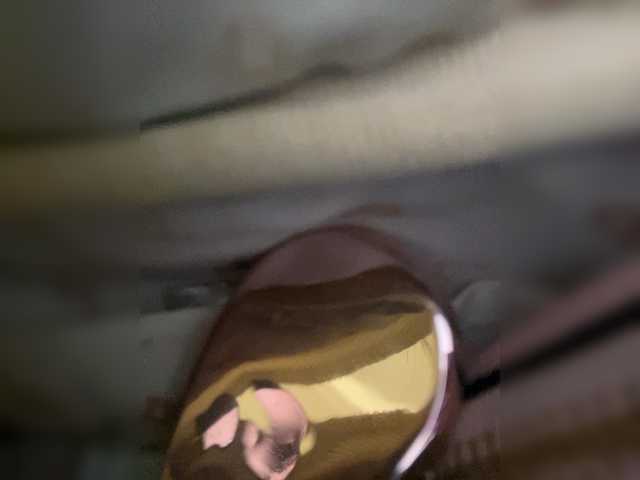 SallyeLeins's BongaCams show and profile