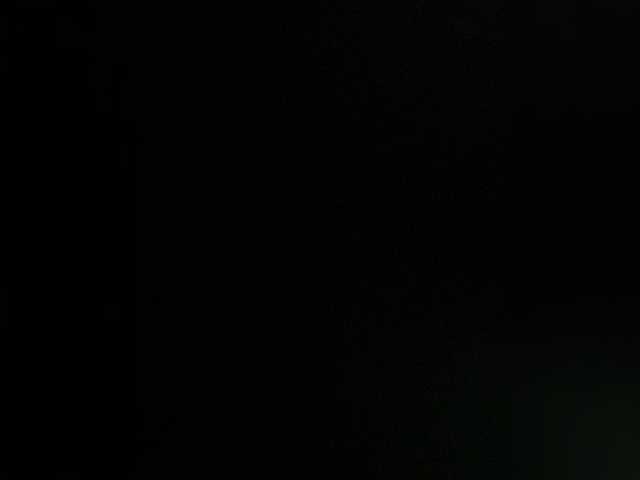 sallyeleins cam belle