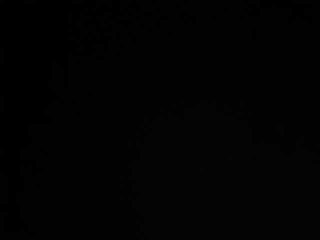 sallyeleins cam belle