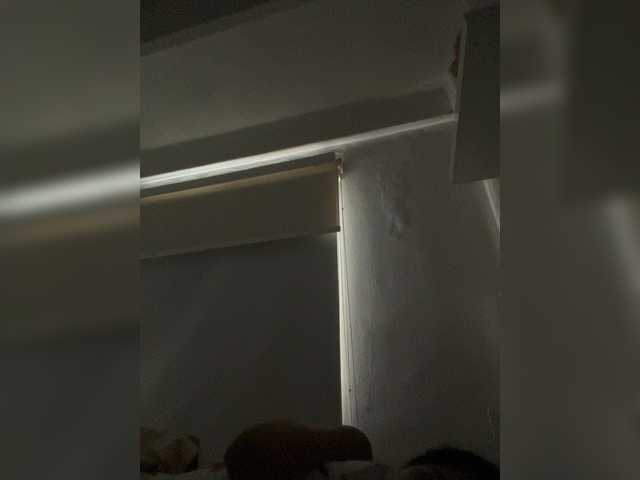 SallyeLeins's BongaCams profile