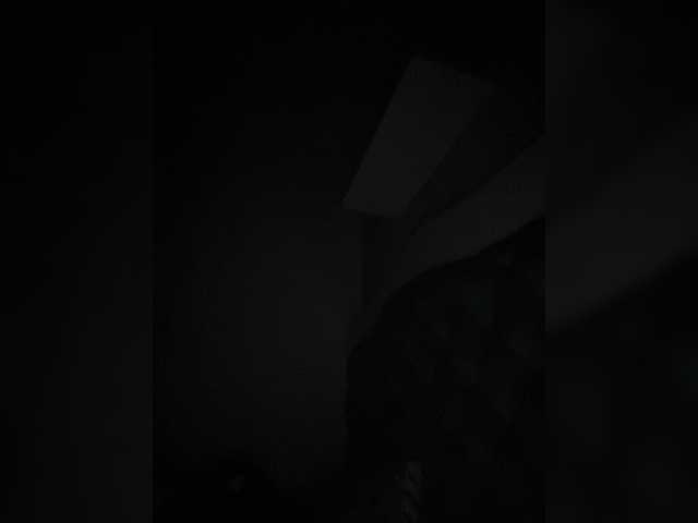  SallyeLeins chat room