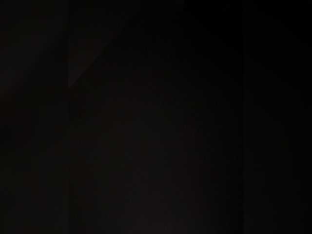 SallyeLeins's BongaCams show and profile