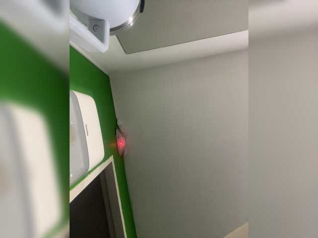 sallyeleins belle show