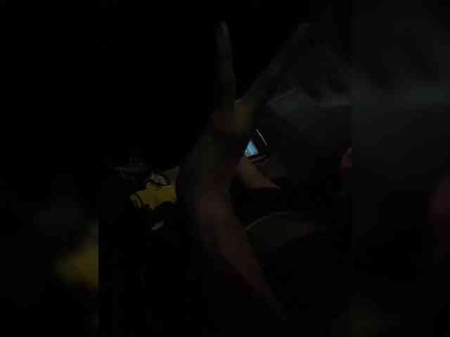 SallyeLeins SallyeLeins