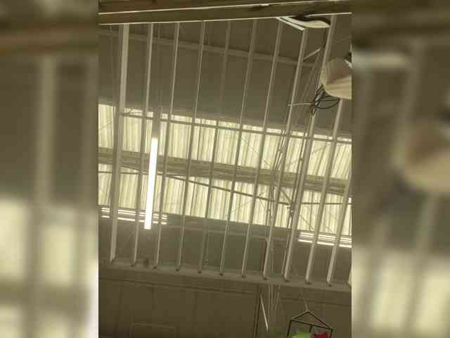 SallyeLeins webcam
