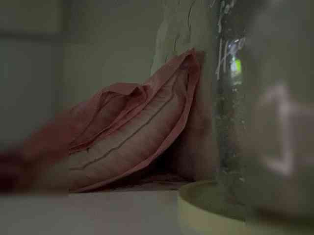 SallyeLeins webcam