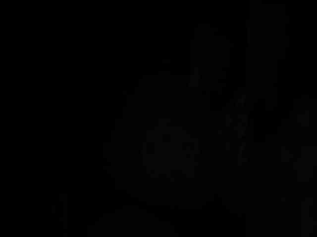 SallyeLeins SallyeLeins