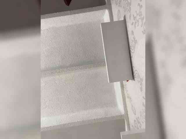 SallyeLeins webcam