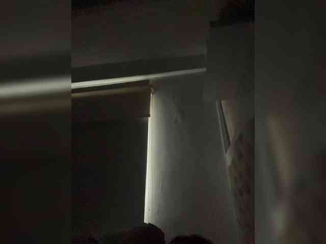 SallyeLeins SallyeLeins