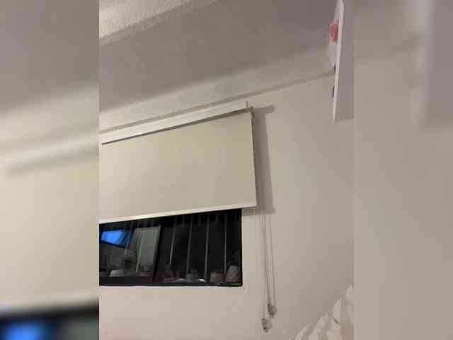 SallyeLeins SallyeLeins