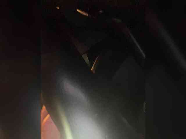 SallyeLeins SallyeLeins