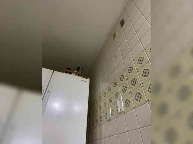 SallyeLeins SallyeLeins