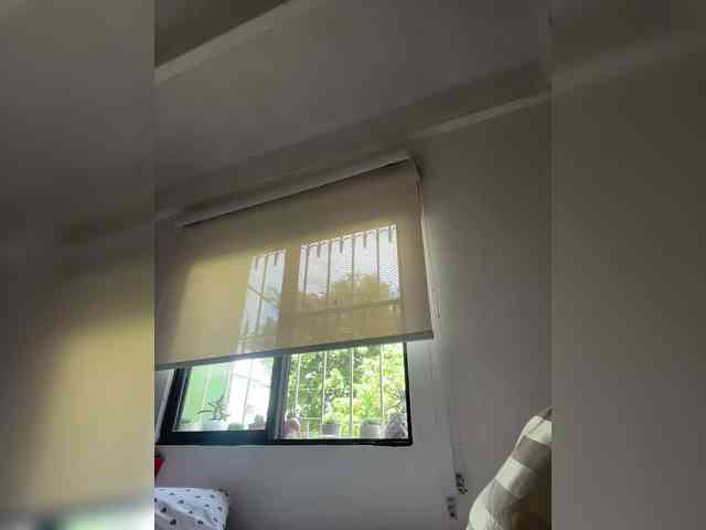 SallyeLeins SallyeLeins