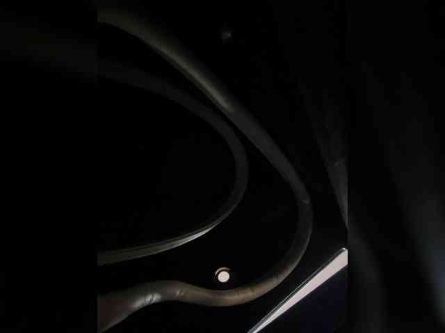 SallyeLeins webcam